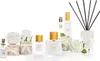A collection of Acqua di Bolgheri La Rosa Eau de Parfum bottles and related items, including white roses and diffuser reeds, arranged on a white background. Náhled obrázku produktu