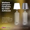 Two glass bottle lamps with different colored lampshades, presented against a gradient background. Anteprima dell’immagine prodotto