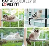 MEWOOFUN Katzen Hängematte Fensterplätze für Katzen 54x30cm Produktbild-Vorschau 2