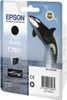 Epson T7601 Photo Black, Schwarz, Tinte auf Farbstoffbasis, Produktbild-Vorschau 11