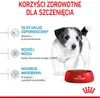 Royal Canin Puppy Mini - 2kg Podgląd zdjęcia produktu 3