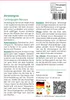 SAFLAX - Zitronengras - Cymbopogon flexosus - 50 Samen Produktbild-Vorschau 3