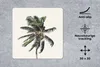 MuchoWow® Mauspad Mousepad Palme - Grün - Natur - Blätter Produktbild-Vorschau 2
