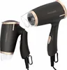Two black hairdryers with gold accents are shown against a white background. One hairdryer is shown in its entirety, while the other is shown from the side with its nozzle detached. Náhled obrázku produktu