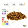 UGF Insektenmischung 500g (3L) Igelfutter, Rennmausfutter, Produktbild-Vorschau 5