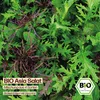 Samenliebe  Asia Salat Samen | 4 Sorten Mix - winterhart - Produktbild-Vorschau 4