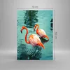 Bilder auf glas - Einteilig - Rosa Flamingos Wasser - Produktbild-Vorschau 3