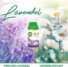 Air Wick Freshmatic Max Nachfüller Lavendel 6 x 250 ml Produktbild-Vorschau 7