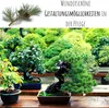 Exotische Bonsai Samen mit hoher Keimrate - Pflanzen Samen Produktbild-Vorschau 2