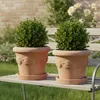 Teramico Terracotta Topf "Limoni" Frostfest optional mit Produktbild-Vorschau 5