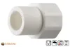 DN 20 x 1/2 Zoll, PPR Aqua Plus Kupplung mit Innengewinde Produktbild-Vorschau 5