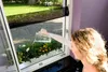 tesa Fliegengitter für Fenster OPEN/CLOSE 1,30 m x 1,5 m Produktbild-Vorschau 5