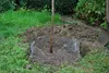 Wühlmauskorb KLEIN Ø35cm 291171 Produktbild-Vorschau 3