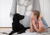 Couverture pour chien "Paws" de David Fussenegger, 100 x Voir les images du produit 5