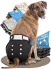 HUND IST KÖNIG Windeln für Hündinnen [3 Stk], XL (Taille Produktbild-Vorschau 1