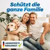 Gerobug Ungeziefer-Spray 500 ml – Mittel gegen Insekten und Produktbild-Vorschau 7