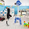Izrielar 4 in 1 Kinder Basketballkorb Set Produktbild-Vorschau 10