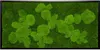 Moosbild 110x55cm 50% Flachmoos/ 50%Kugelmoos (schwarz) Produktbild-Vorschau 1