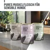 Three cans of dog food are displayed on a kitchen counter, with a blurred kitchen background. Produktbild-Vorschau