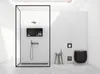 A modern, minimalist bathroom with a walk-in shower and a black toilet. Podgląd zdjęcia produktu