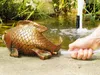 Heissner Teichfigur mit Speierfunktion Fisch 18 x 16 x 13 Produktbild-Vorschau 4