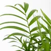 3x Luftreinigungskörbe Mix – Luftreinigung – ⌀12 cm - Produktbild-Vorschau 3