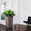A large planter with a peace lily plant sits in a modern interior space next to a black chair. Náhľad obrázku produktu
