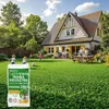 EcoDeco graines de gazon, semence gazon gazon à semer 25kg, Voir les images du produit 15