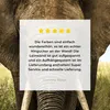 MuchoWow® - Leinwandbilder - Elefant - Natur - Gras - Tiere Produktbild-Vorschau 8