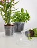 Garronda Soucoupe pour pot de fleurs GD-0026 (1 pièce - Voir les images du produit 4