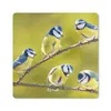 MuchoWow® Mauspad Mousepad Vogel - Blaumeise - Äste - Sonne Produktbild-Vorschau 1
