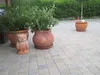 Diephaus Pflasterstein VIA VARIO MUSCHELKALK PE2 Produktbild-Vorschau 9