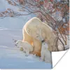 MuchoWow® Poster Eisbärin mit ihren Jungen im Schnee 30x30 Produktbild-Vorschau 1