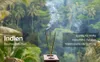 Auroshikha Räucherstäbchen - African Violet Incense, Rot, Produktbild-Vorschau 3