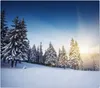 Spritzschutz Herdabdeckplatte Schneidebrett aus Glas Schnee Produktbild-Vorschau 1