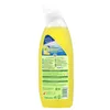 Frosch Toilettenreiniger Zitrone 750 ml Produktbild-Vorschau 22