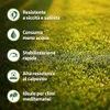 LERAVA® Semena trávníku – bermudská tráva [mimořádně odolná Náhled obrázku produktu 2