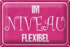 Blechschild Spruch 30x20cm Im NIVEAU flexibel Produktbild-Vorschau 2