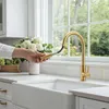 Kuchyňská baterie Pure.Sink Elite Steel Stream-S, PVD, Náhled obrázku produktu 2