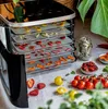 ROMMELSBACHER Disidratatore DA 450, colore:nero Anteprima dell’immagine prodotto 9