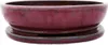 Bonsai-Schale mit Untersetzer, Größe 6 – rot – oval – Produktbild-Vorschau 1