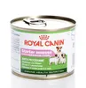 Royal Canin Dose Starter Mousse 195g Produktbild-Vorschau 10