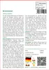 SAFLAX - Brennnessel - Urtica urens - 150 Samen - Mit Produktbild-Vorschau 3