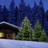 Cordons lumineux Star-Max avec 160 LED - 8 brins de 2m Voir les images du produit 7