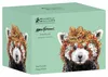 Kubek porcelanowy 370ml Wydry Morskie od Maxwell & Williams Podgląd zdjęcia produktu 2