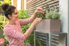 Lechuza Samozavlažovací truhlík Balconera Cottage 50 cm, Náhled obrázku produktu 12