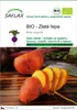 SAFLAX - BIO - Zlatá řepa - Beta vulgaris - 50 Semena Náhled obrázku produktu 1