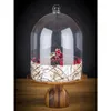 APS Hauben Frischhalte-Haube -SUPER DOME- 6525 Anteprima dell’immagine prodotto 2