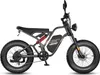 FAFREES F20 Ultra E-Bike (EU Type-Approval L1e-B) - Akku Produktbild-Vorschau 1