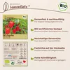 Samenliebe  Paprika Samen | Yolo Wonder - rot & süß - Produktbild-Vorschau 3